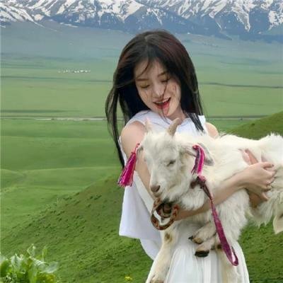一见又倾心